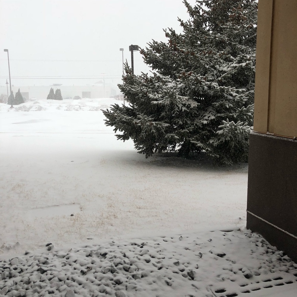 Meet your Posher, Maricruz